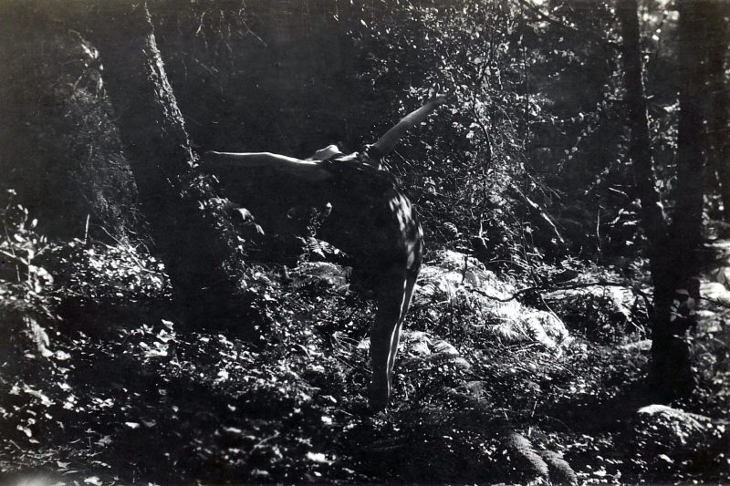 woman dancing in forest