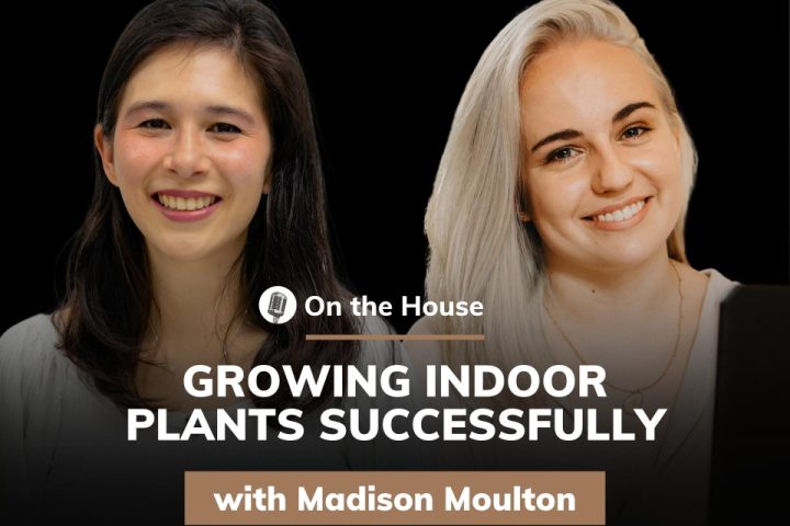 On The House - with Madison Moulton