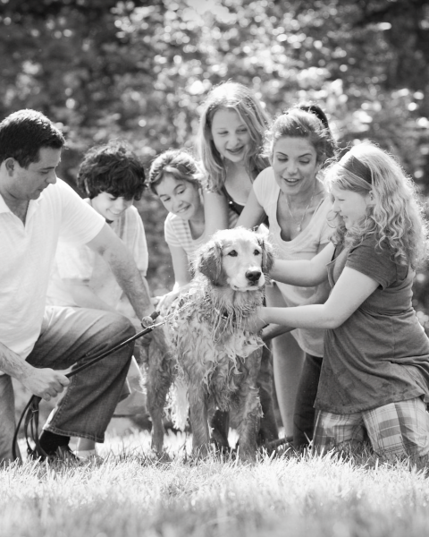 boundary-ambiguity-in-stepfamilies