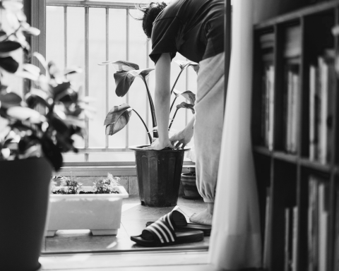 gardening-for-mental-health