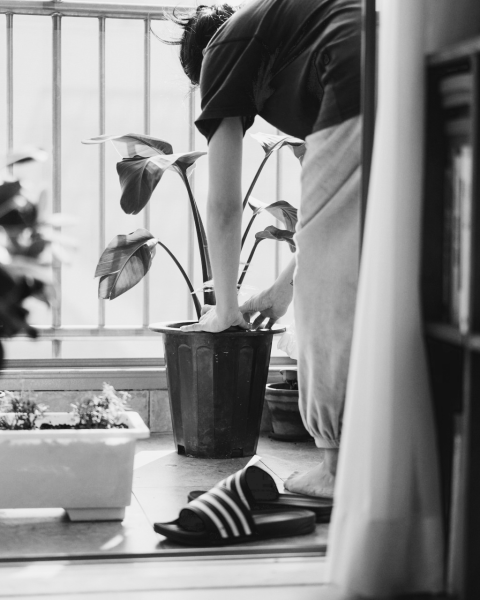 gardening-for-mental-health