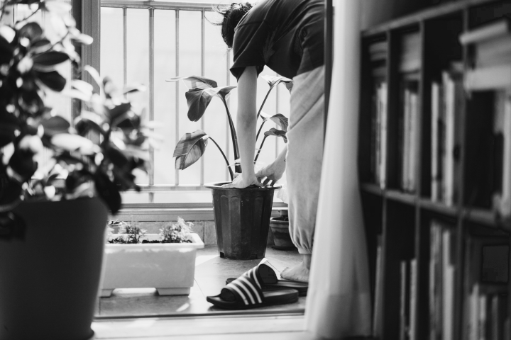 gardening-for-mental-health