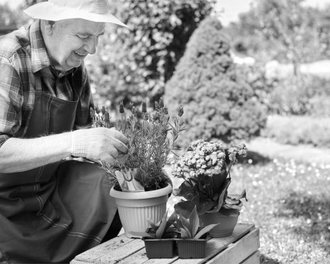 gardening-for-healthy-aging