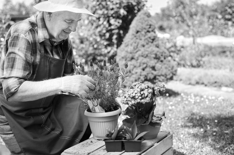 gardening-for-healthy-aging