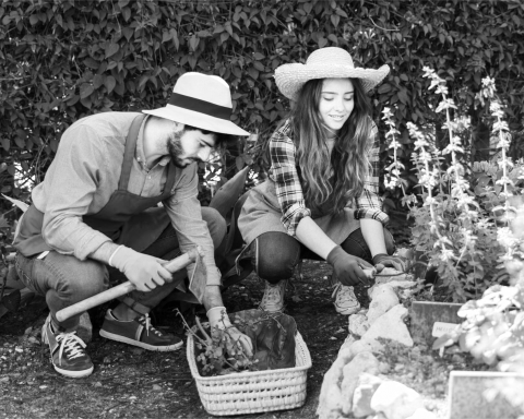 personalized-garden-routine