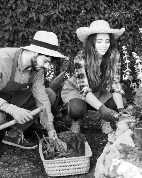 personalized-garden-routine