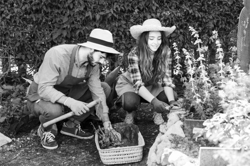 personalized-garden-routine