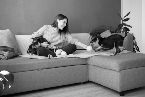 The Ultimate Guide on How to Have a Clean Home as a Pet Owner
