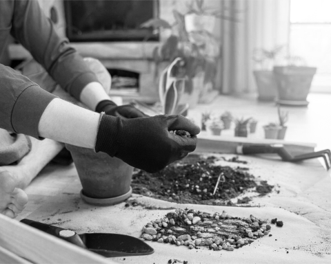 how-to-improve-soil-health