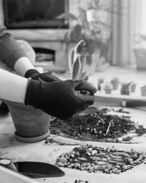 how-to-improve-soil-health