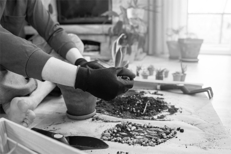 how-to-improve-soil-health